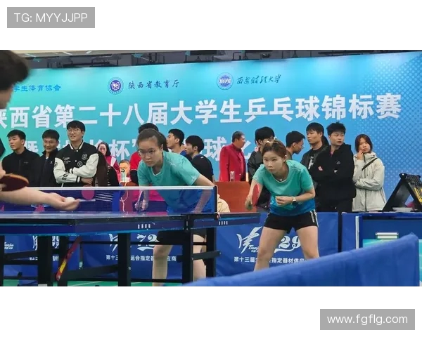 乒乓球的魅力与精神:深入西安乒乓球队的训练与文化探索