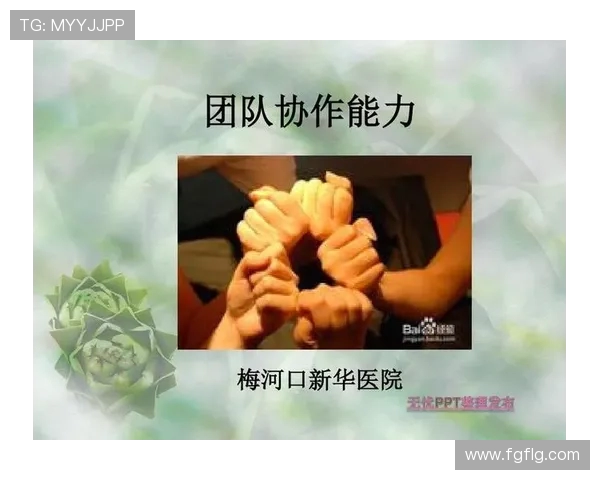 北京排球队意识对比深入探讨与分析团队协作与个人表现的关系