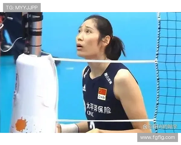 南京排球队技术争议引发热议球迷与专家各抒己见探讨战术与表现