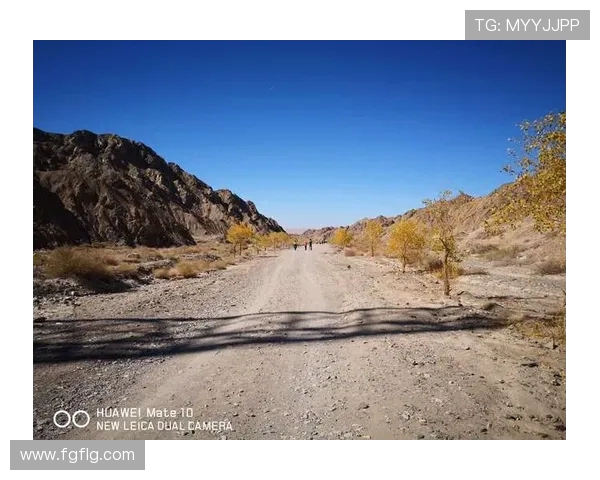 极限运动的成功秘诀吴强分享他的挑战与坚持之路