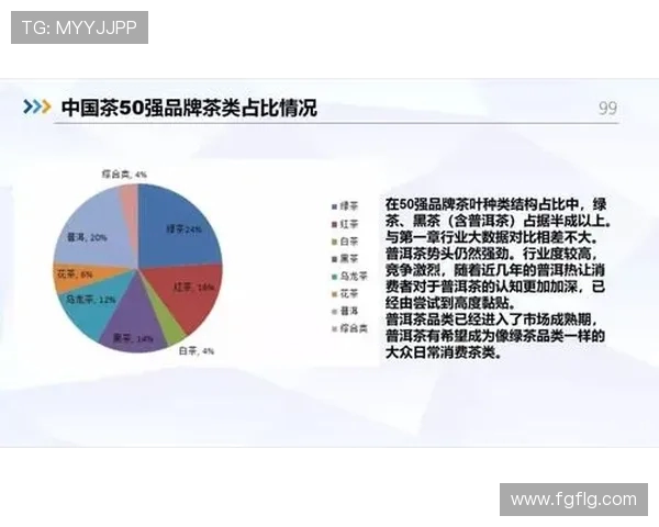 武汉街舞队防守策略深度分析与实战应用探讨