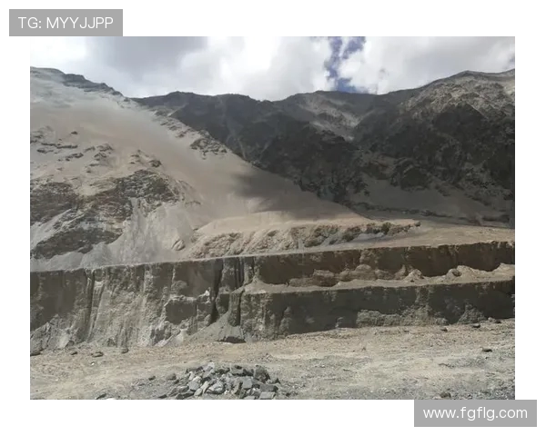 深度探讨杨娜在DOTA2世界中的成长与挑战之路