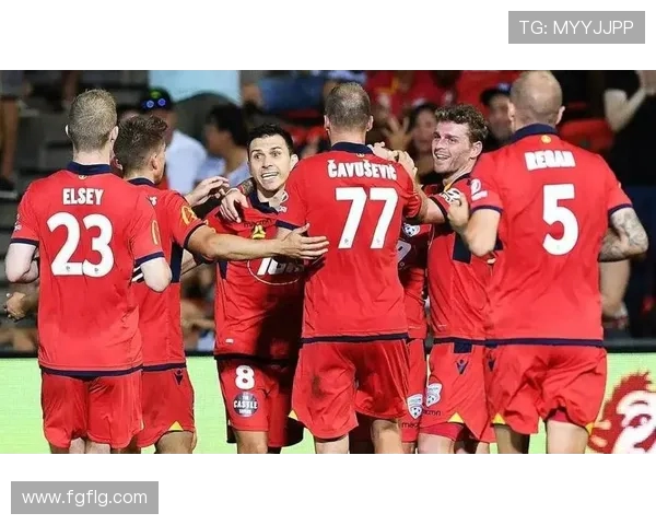 光荣与阿德莱德的对决谁能在这场较量中脱颖而出