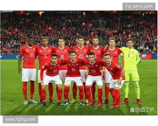 瑞士与日本精彩对决直播全程回顾与赛后分析