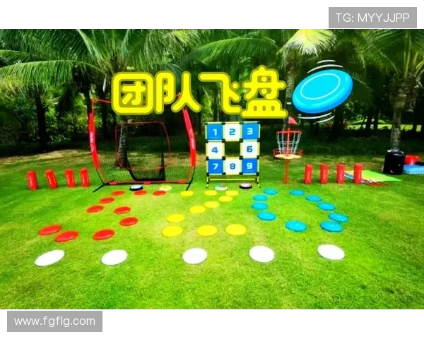 飞盘战术解析：北京飞盘队如何实现中路突破的秘密与策略